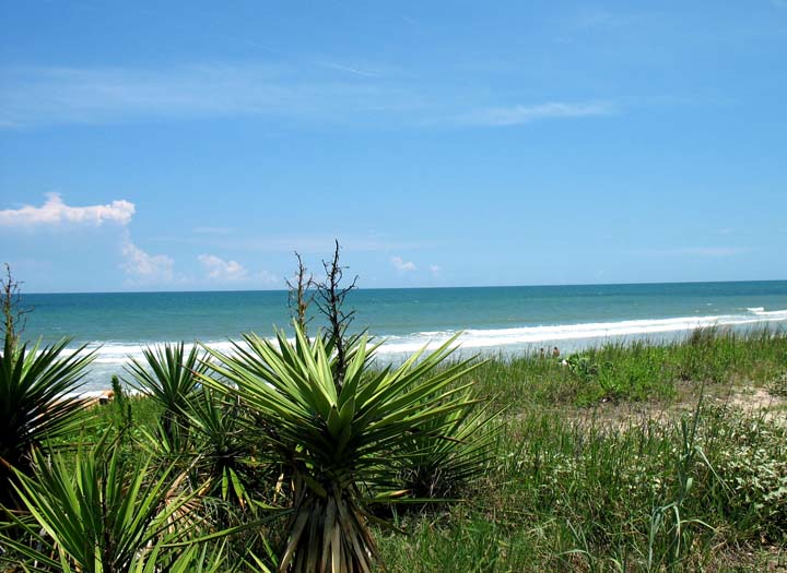 Direct Oceanfront and Beachfront